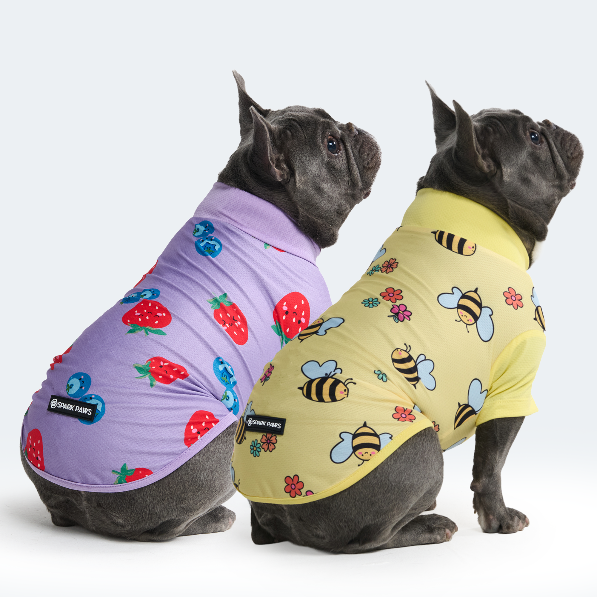 Sunblock Dog T-Shirt (2-pack) - Bees Berries - Image 2