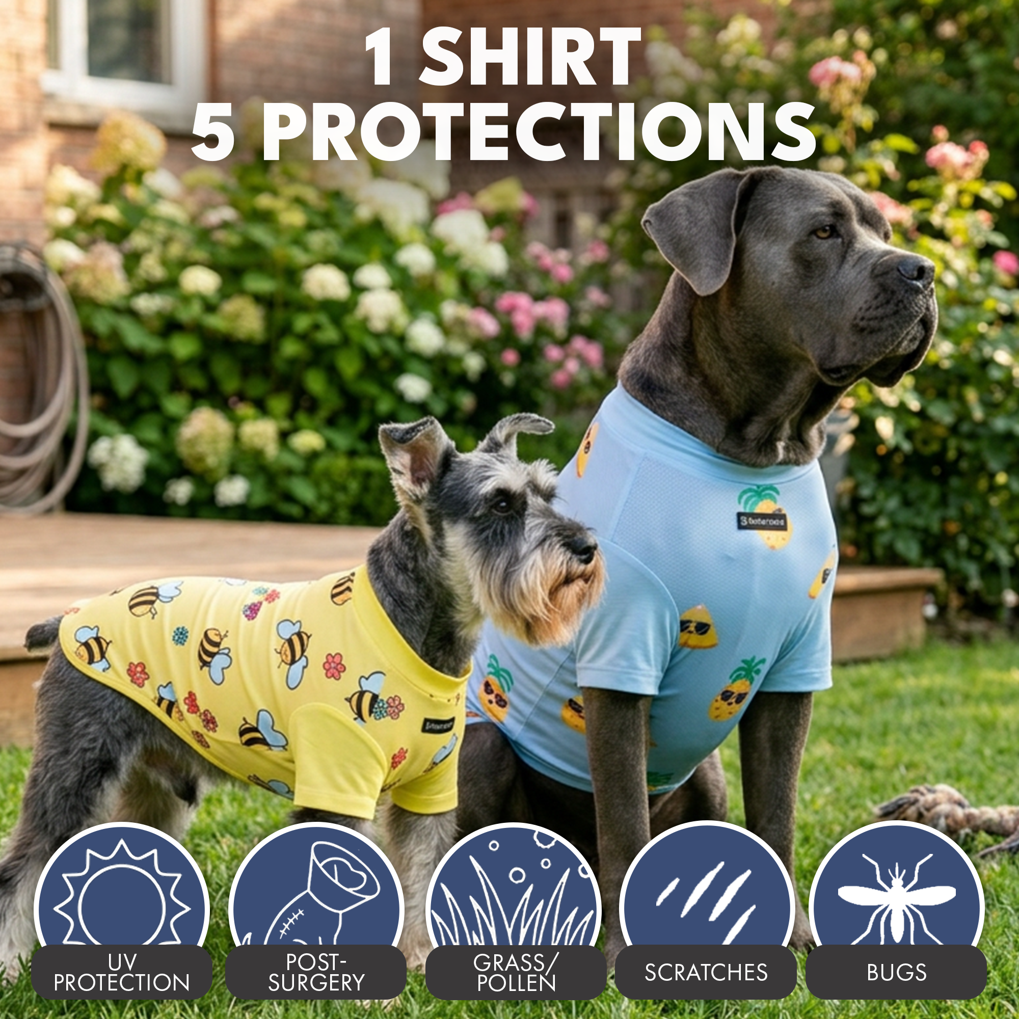 Sunblock Dog T-Shirt (2-pack) - Bees Pineapple - Image 6
