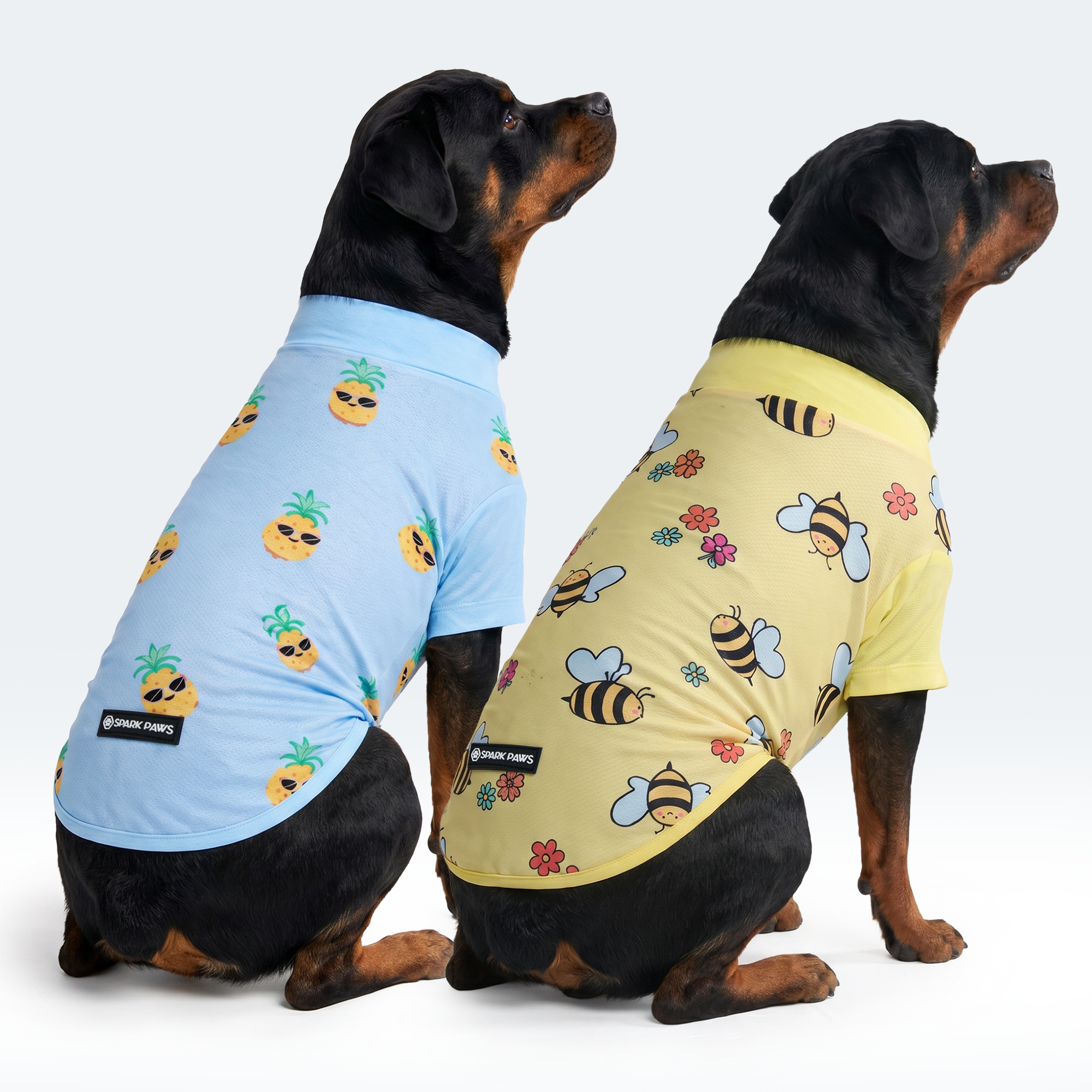 Sunblock Dog T-Shirt (2-pack) - Bees Pineapple - Image 4