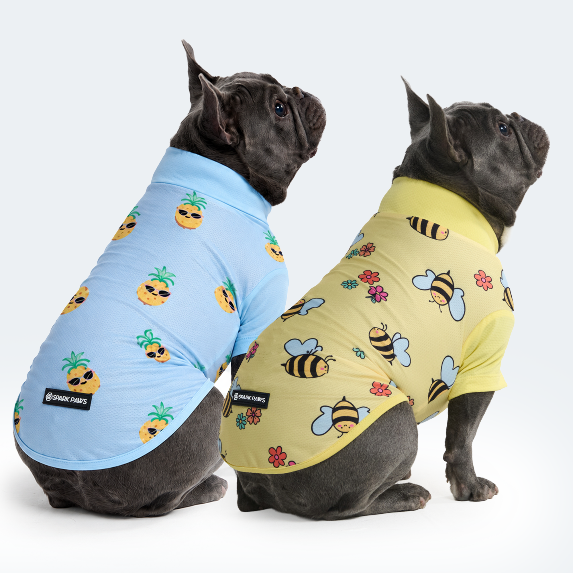 Sunblock Dog T-Shirt (2-pack) - Bees Pineapple - Image 2