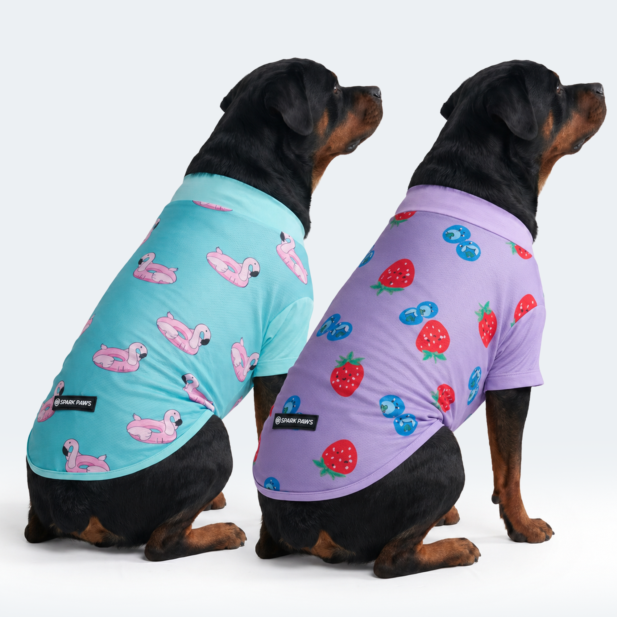Sunblock Dog T-Shirt (2-pack) - Berries Flamingo - Image 4