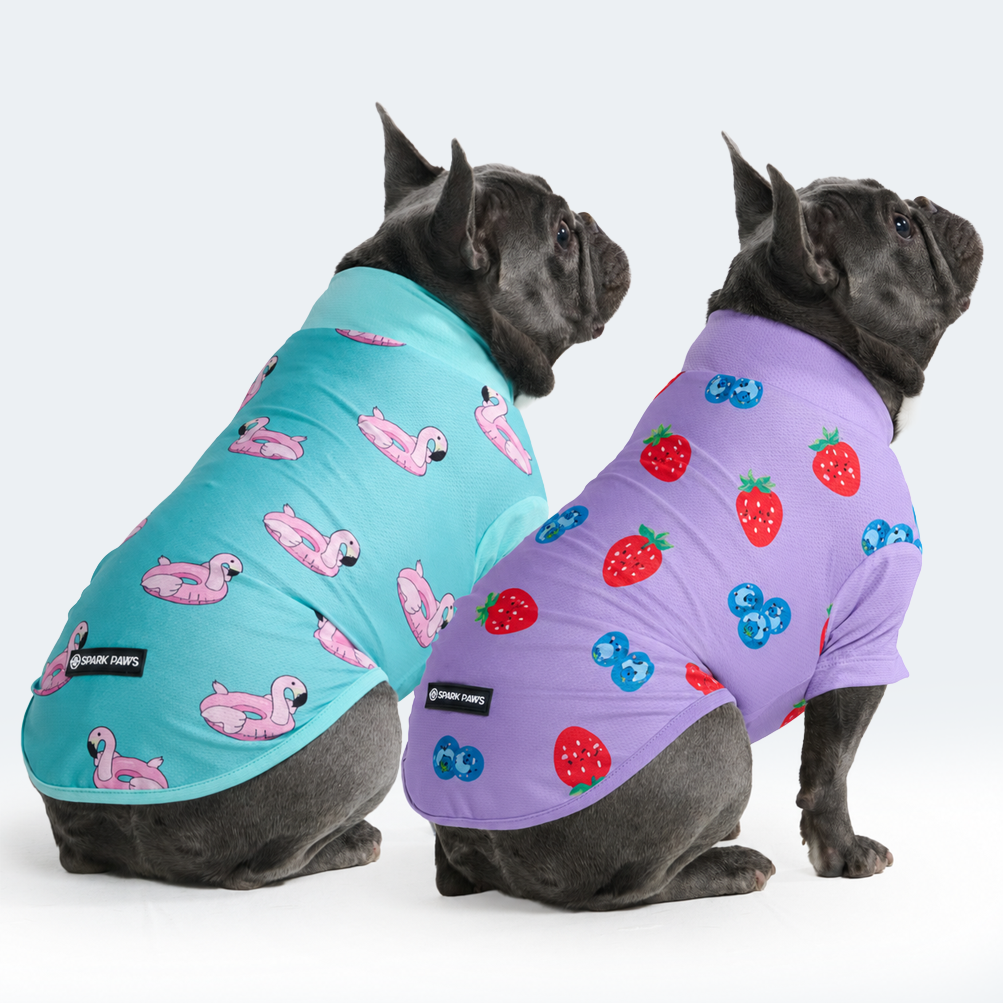 Sunblock Dog T-Shirt (2-pack) - Berries Flamingo - Image 3