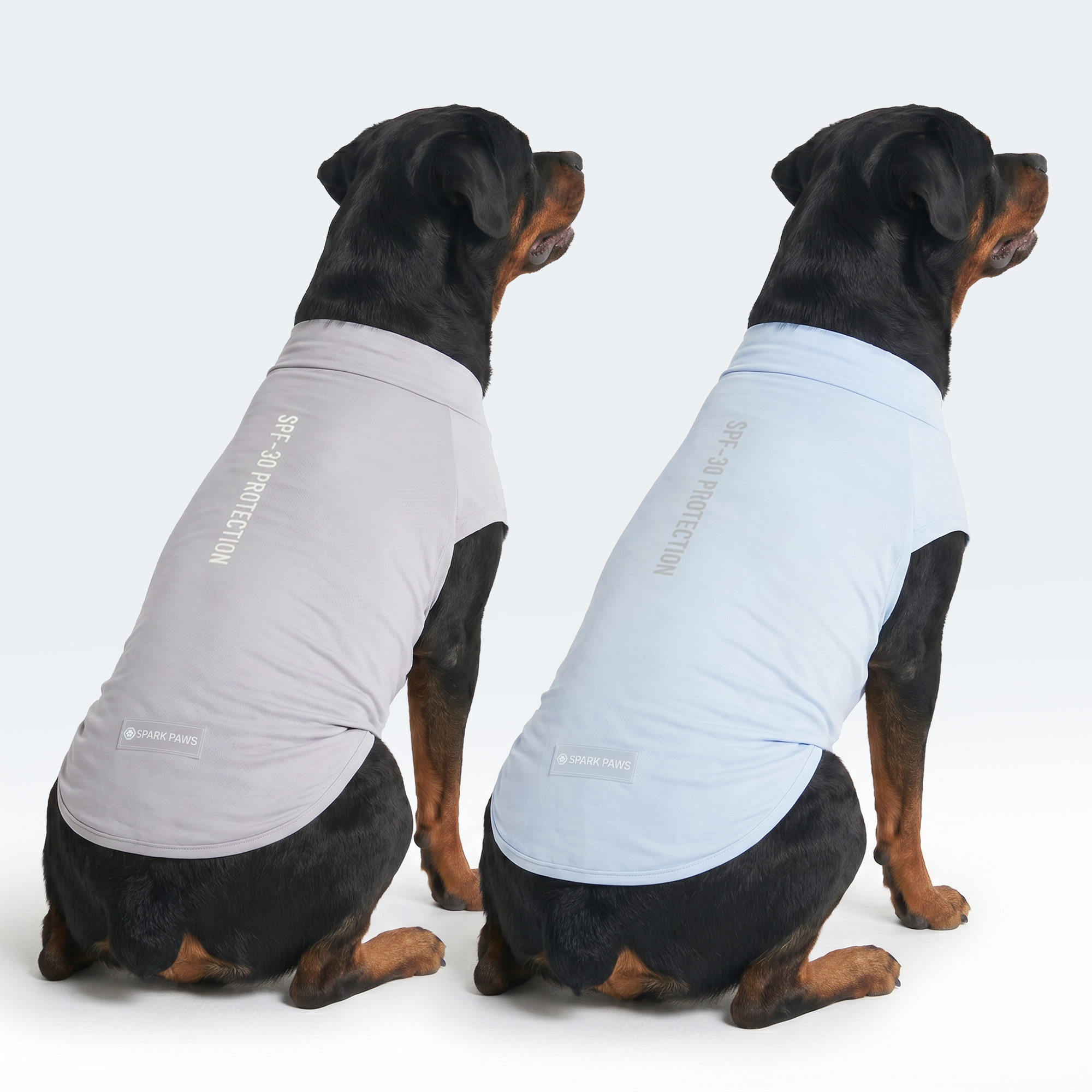 Sunblock Dog T-Shirt (2-pack) - Blue Grey - Image 4