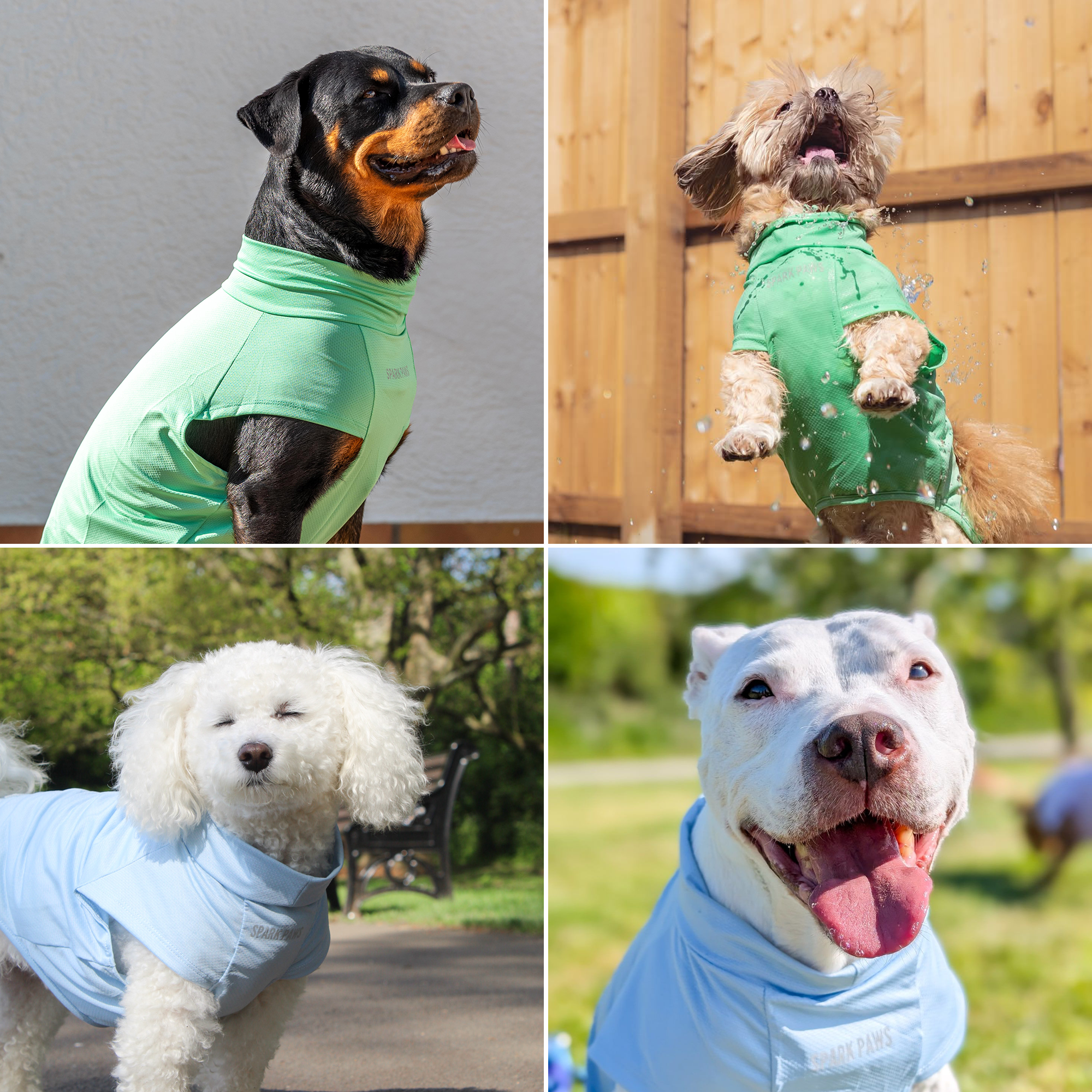 Sunblock Dog T-Shirt (2-pack) - Blue Mint - Image 8