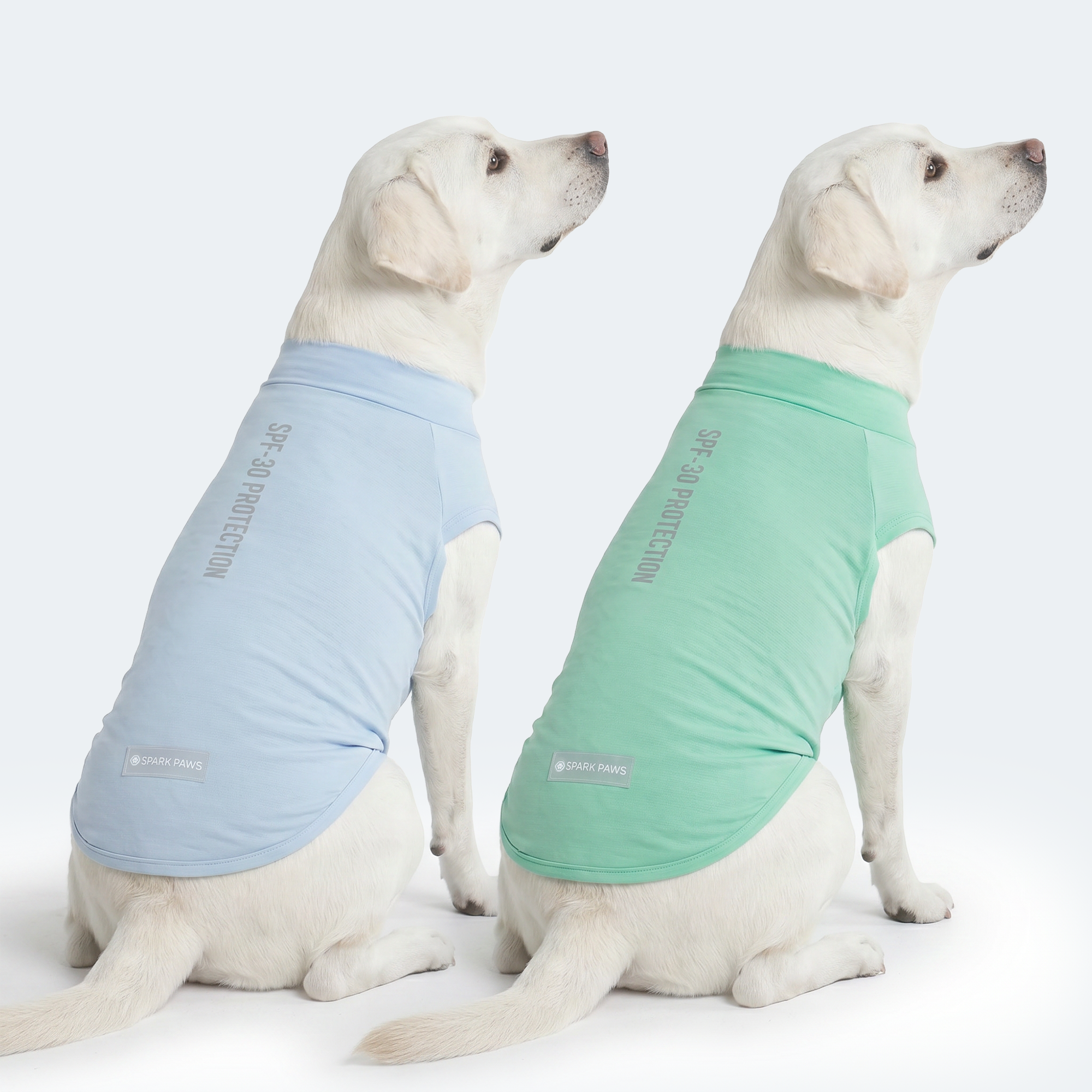 Sunblock Dog T-Shirt (2-pack) - Blue Mint - Image 3
