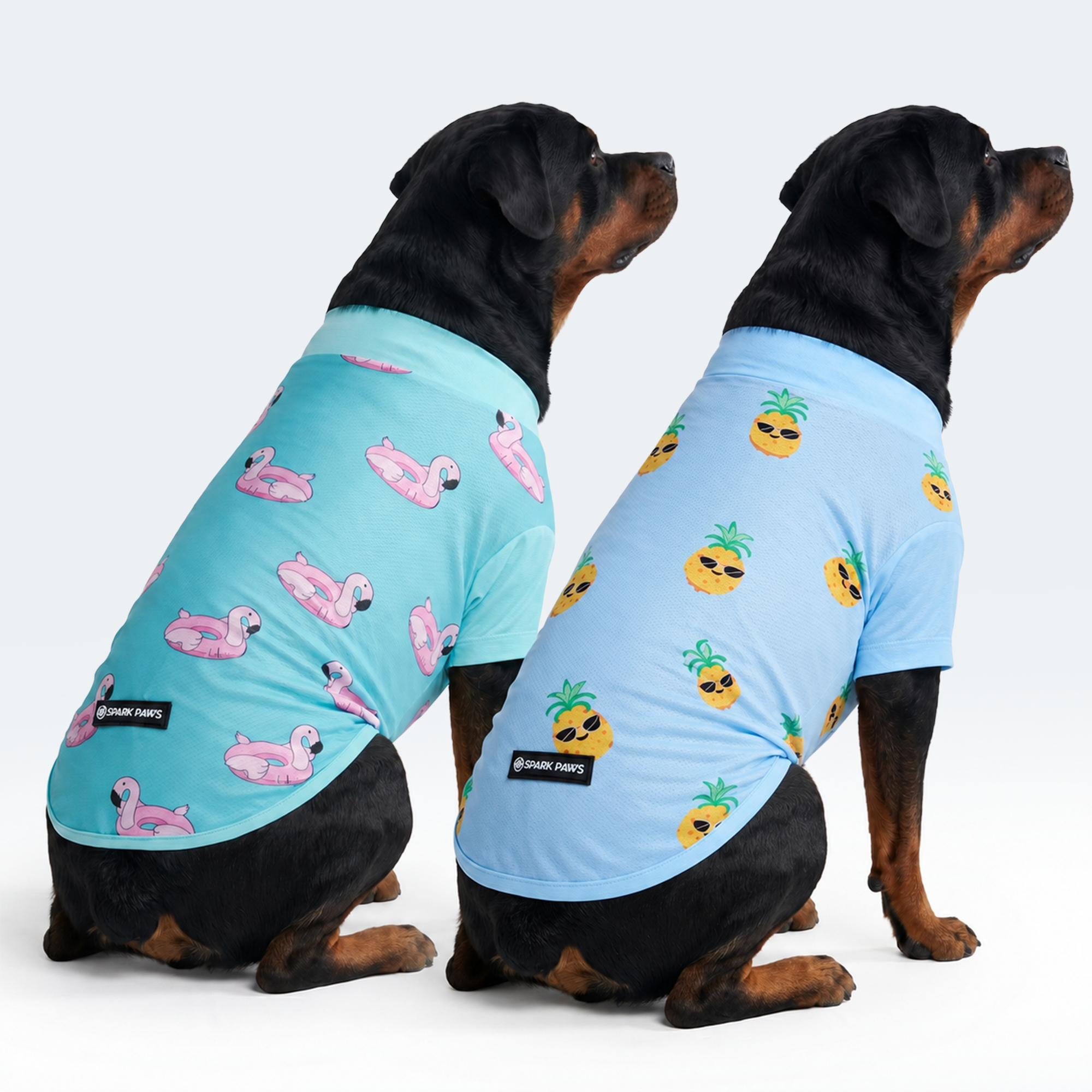 Sunblock Dog T-Shirt (2-pack) - Flamingo Pineapple - Image 3