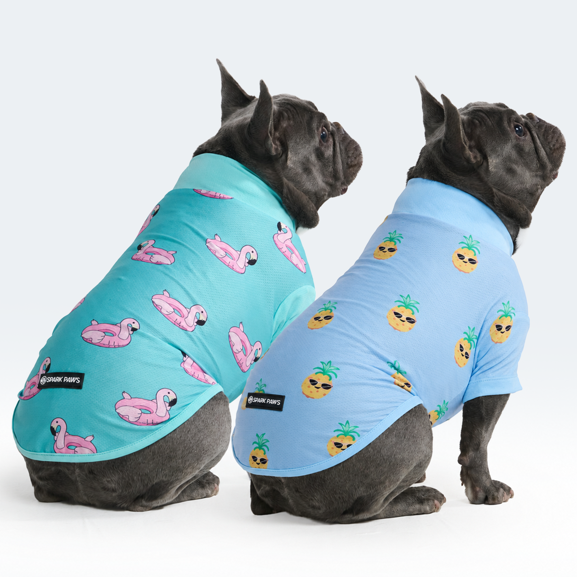 Sunblock Dog T-Shirt (2-pack) - Flamingo Pineapple - Image 2