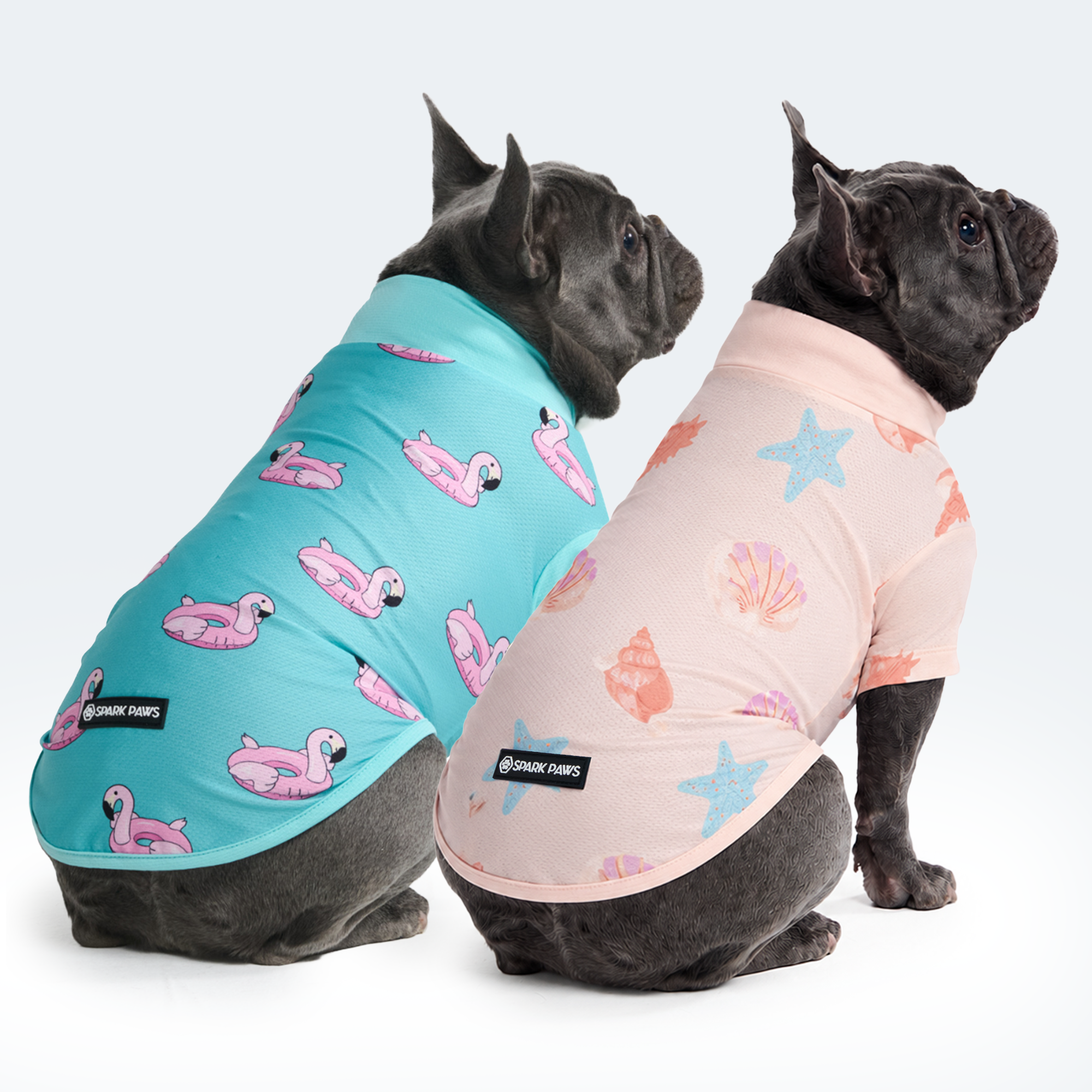 Sunblock Dog T-Shirt (2-pack) - Flamingo Seashell - Image 3