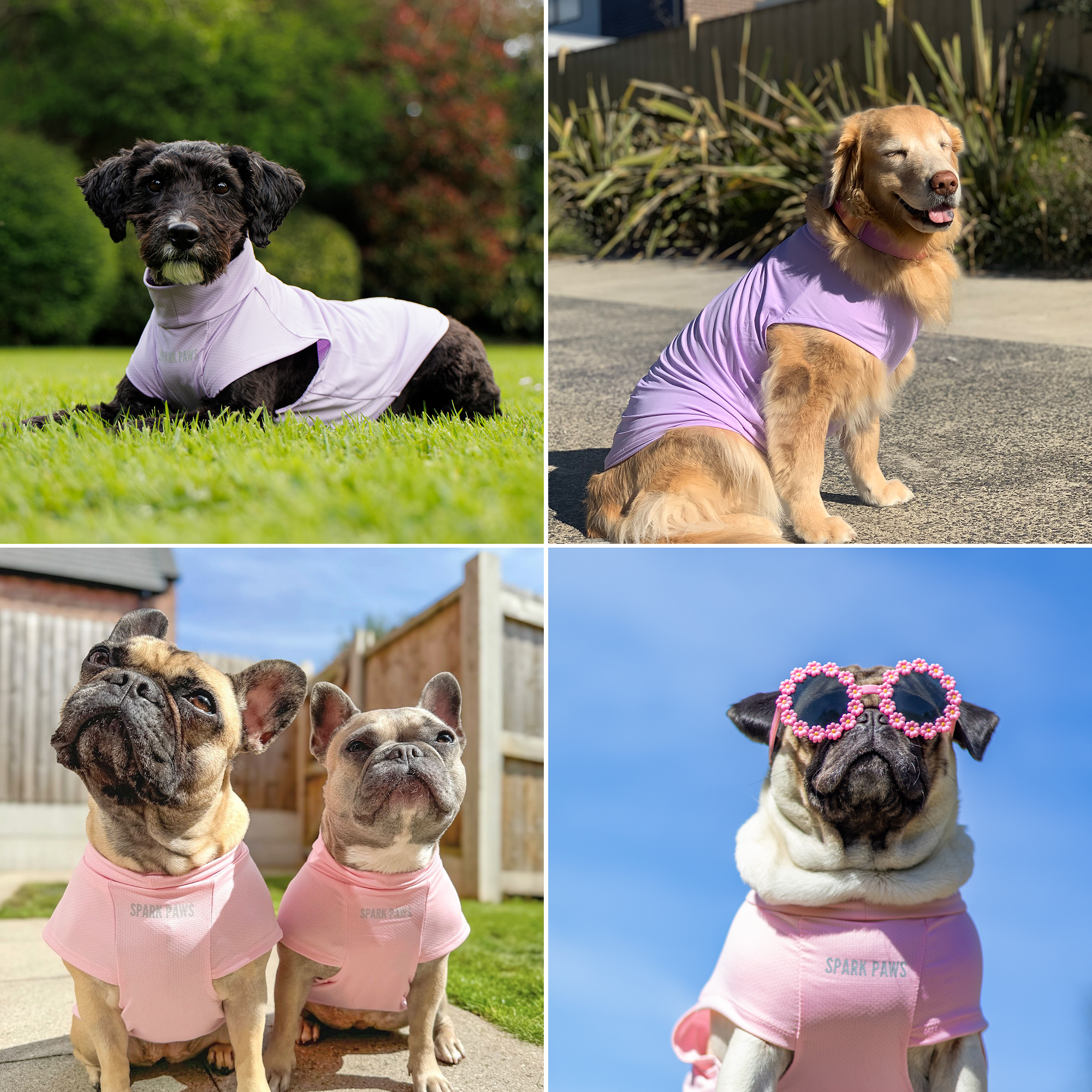 Sunblock Dog T-Shirt (2-pack) - Pink Purple - Image 8