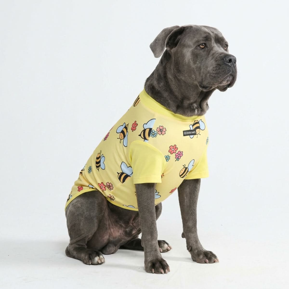 Sunblock Dog T-Shirt - Bees - Image 4