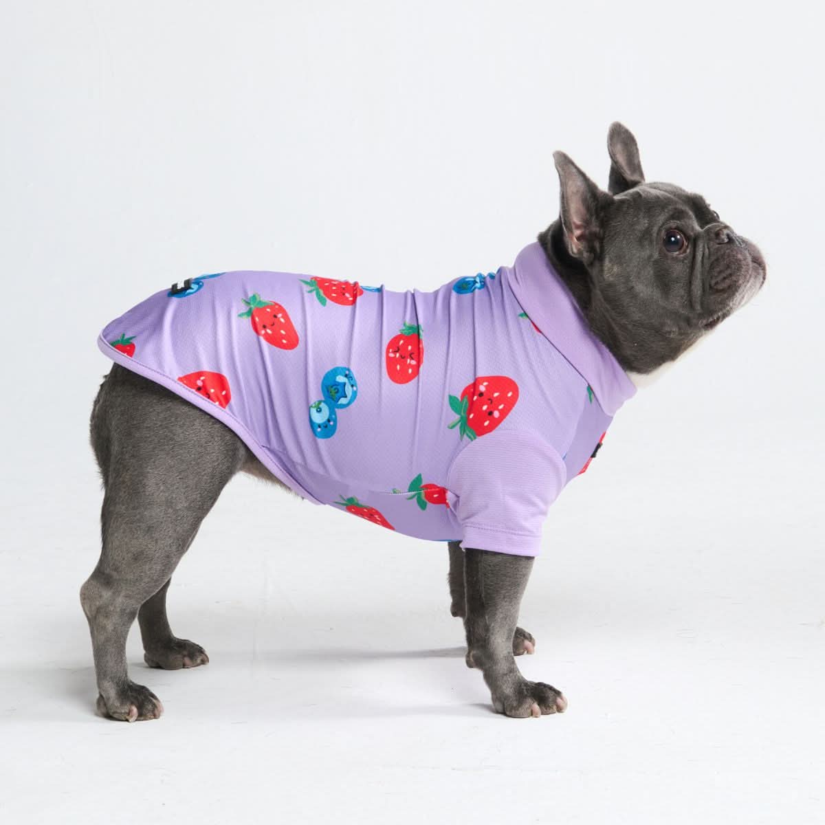 Sunblock Dog T-Shirt - Berries - Image 6