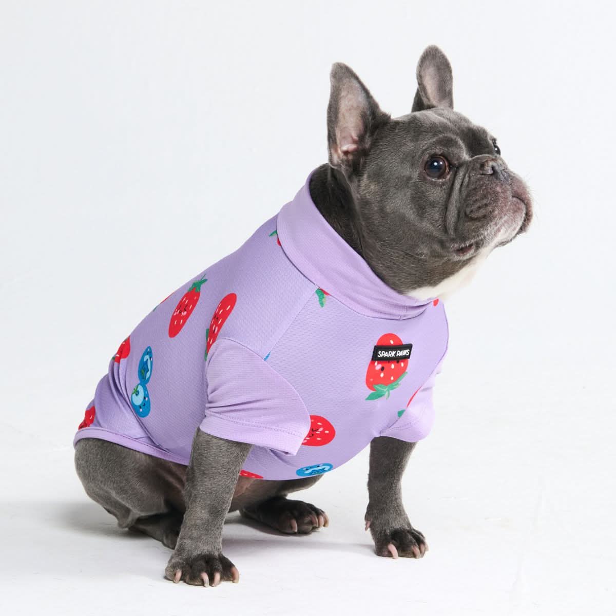 Sunblock Dog T-Shirt - Berries - Image 5