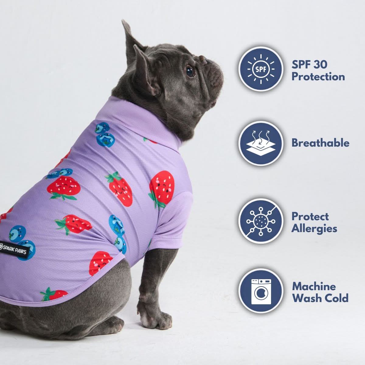 Sunblock Dog T-Shirt - Berries - Image 7
