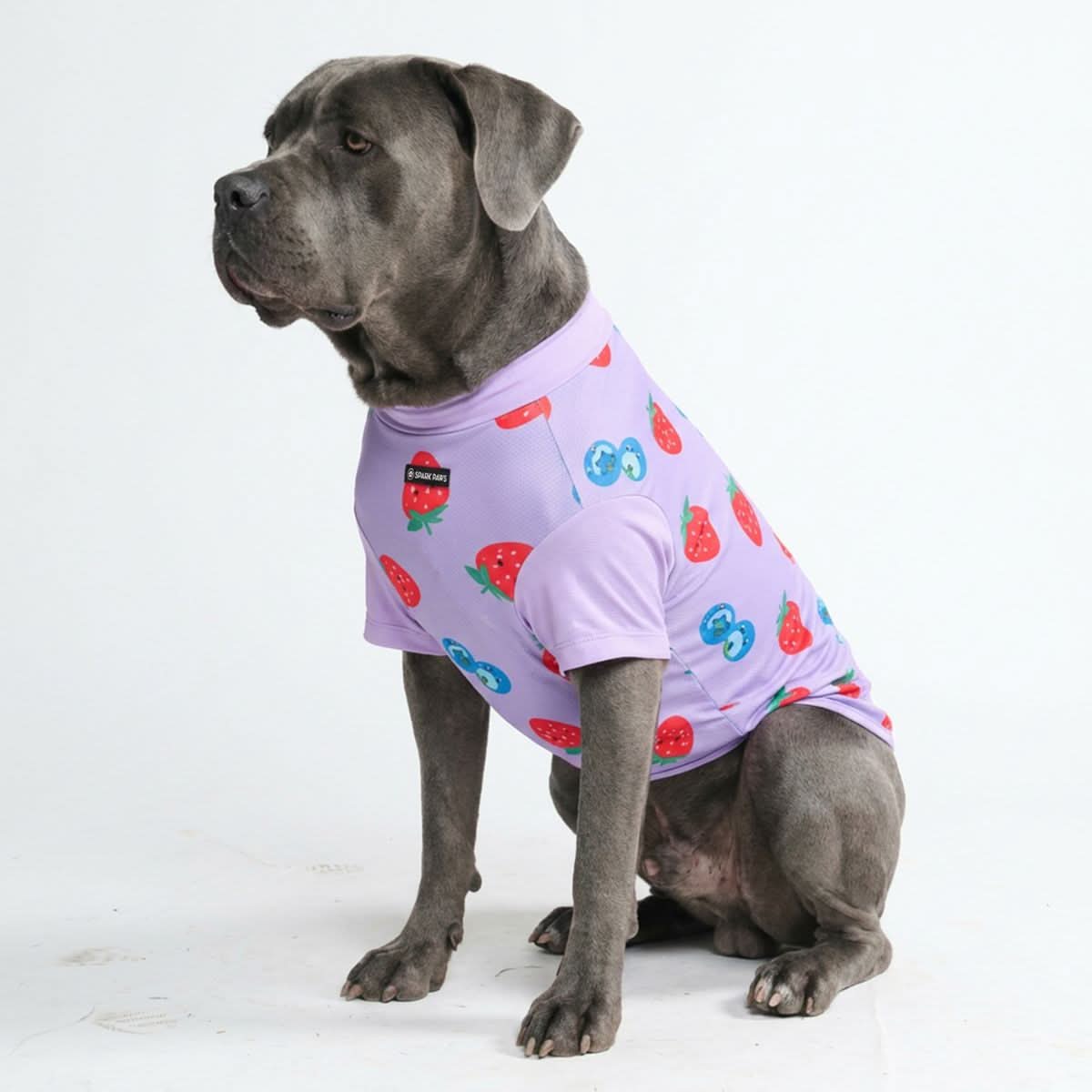 Sunblock Dog T-Shirt - Berries - Image 4