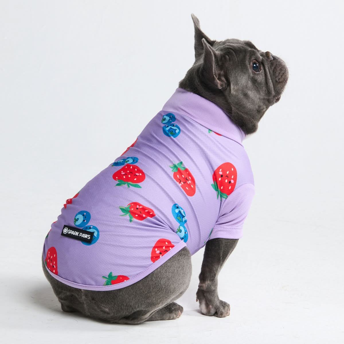 Sunblock Dog T-Shirt - Berries - Image 2
