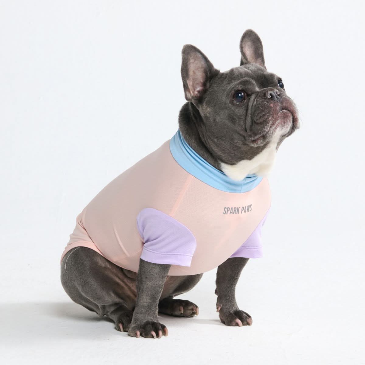 Sunblock Dog T-Shirt - Cotton Candy - Image 6