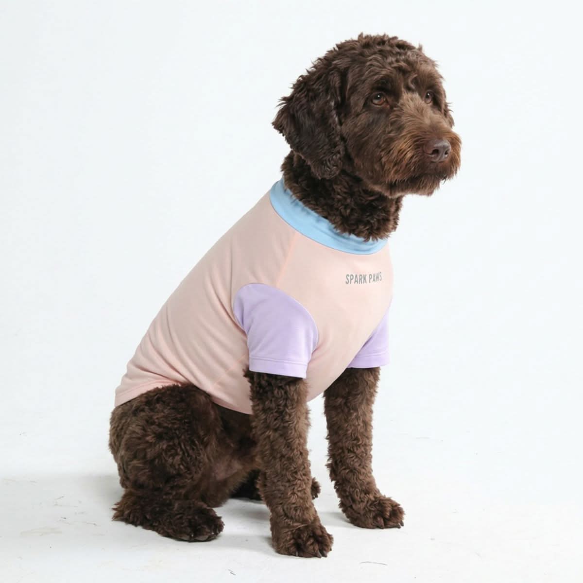 Sunblock Dog T-Shirt - Cotton Candy - Image 4