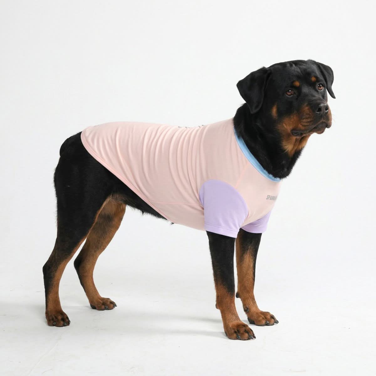 Sunblock Dog T-Shirt - Cotton Candy - Image 2