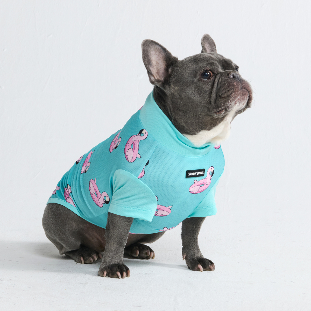 Sunblock Dog T-Shirt - Flamingo - Image 6