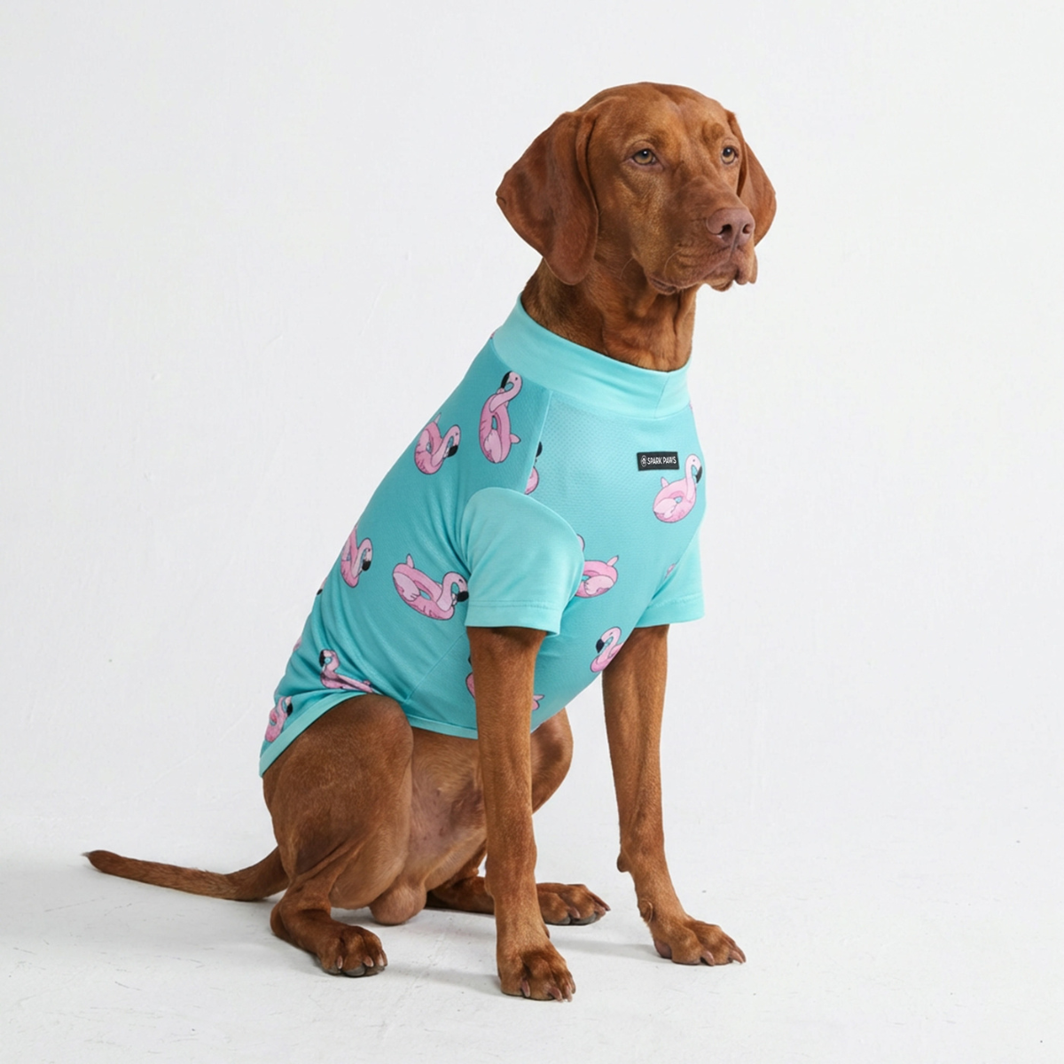 Sunblock Dog T-Shirt - Flamingo - Image 4