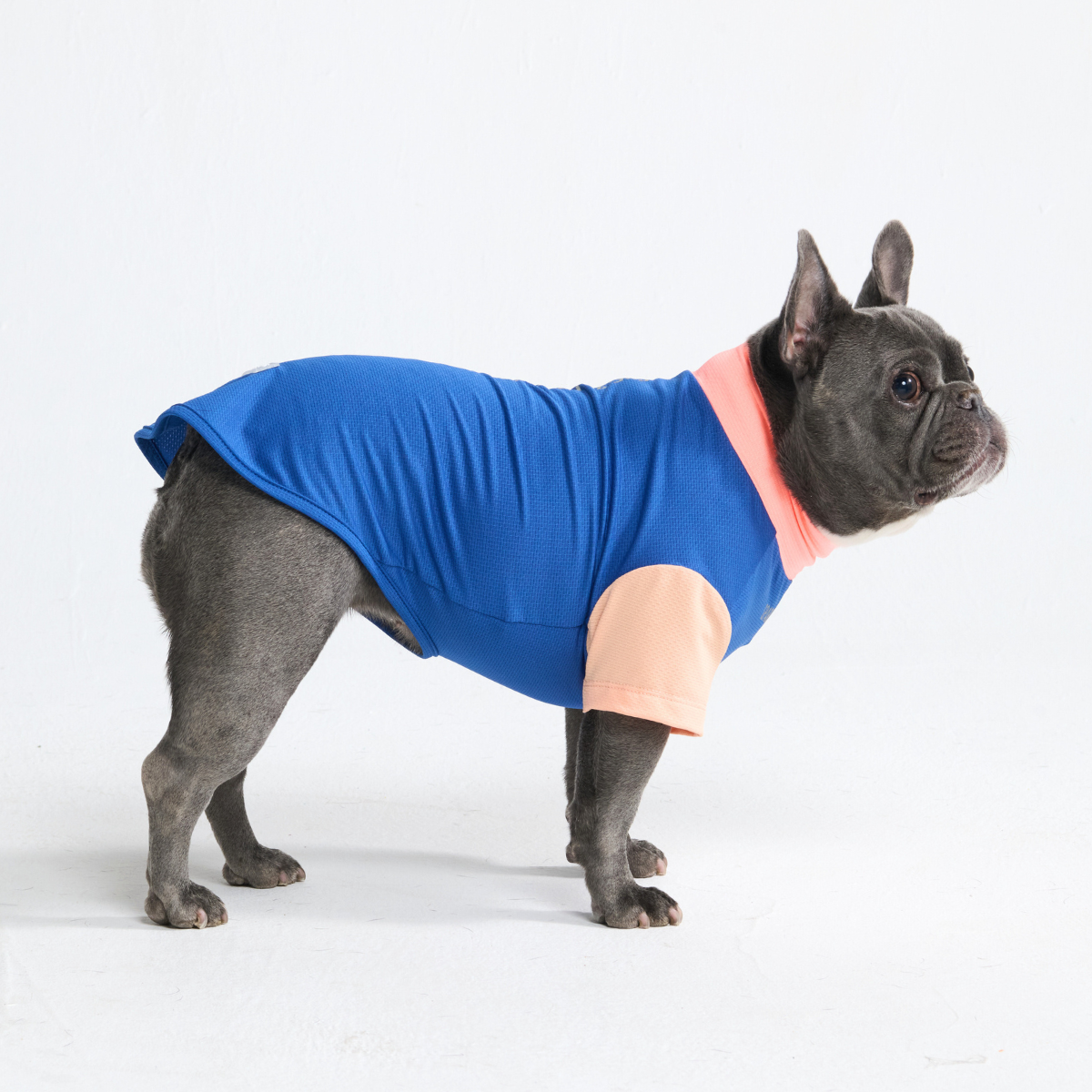 Sunblock Dog T-Shirt - Blue Hawaiian - Image 5