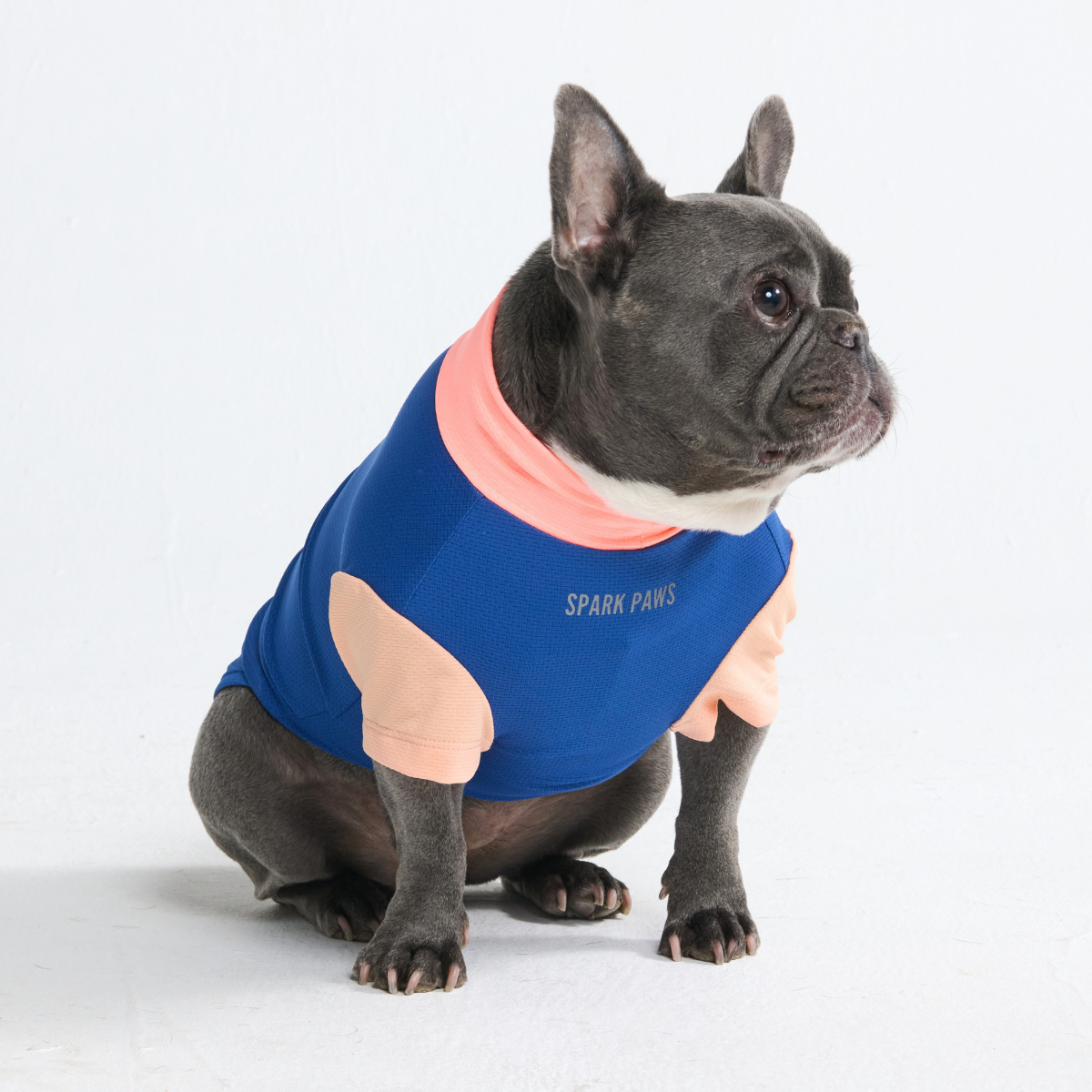 Sunblock Dog T-Shirt - Blue Hawaiian - Image 6