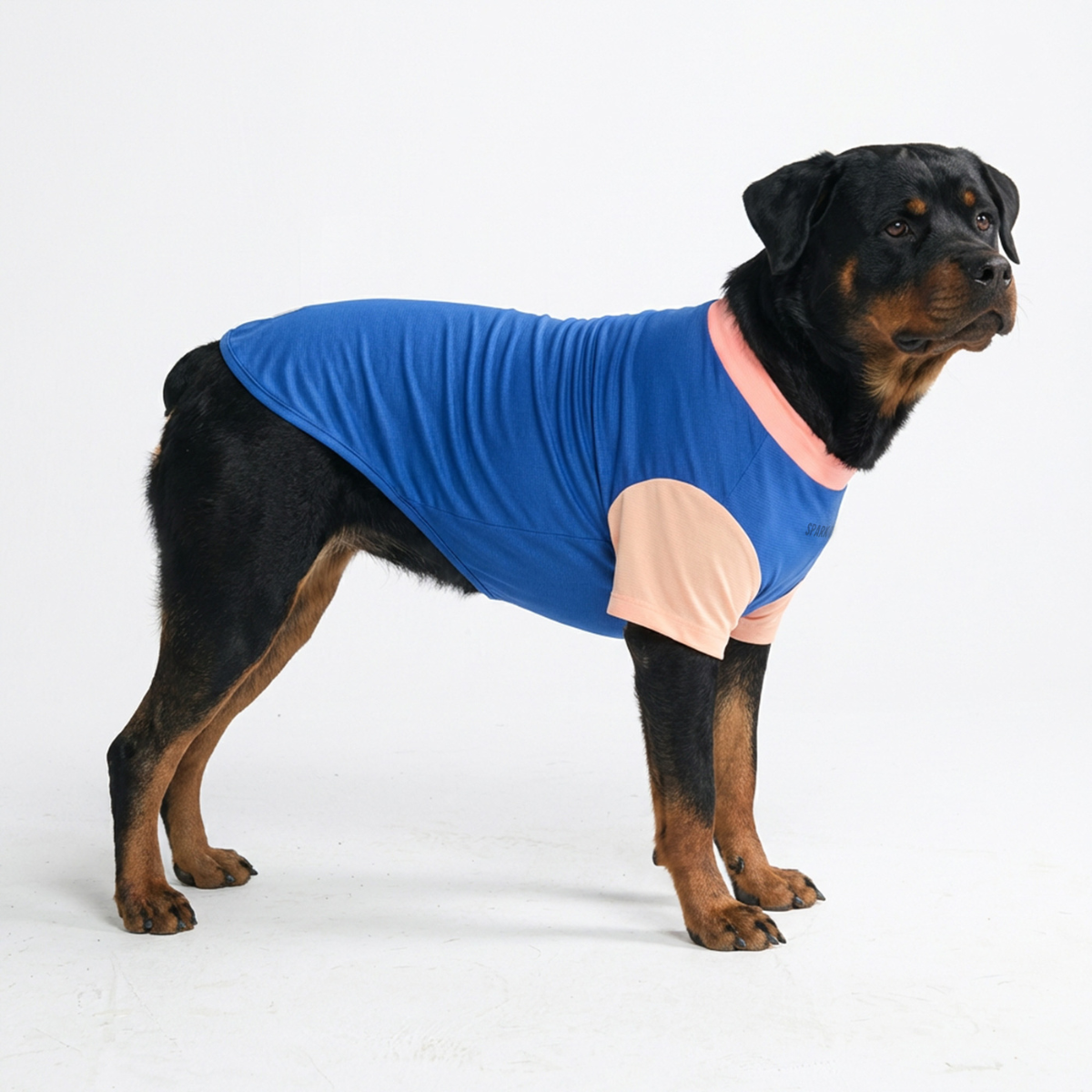 Sunblock Dog T-Shirt - Blue Hawaiian - Image 2