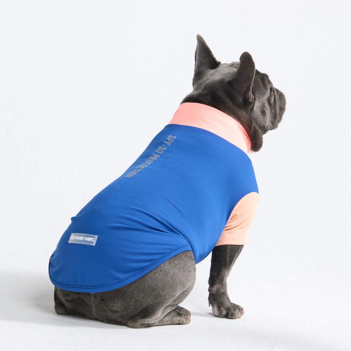 Sunblock Dog T-Shirt - Blue Hawaiian - Image 3