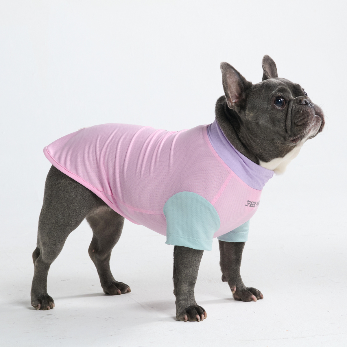 Sunblock Dog T-Shirt - Gelato - Image 5