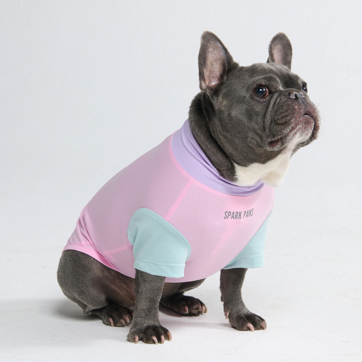 Sunblock Dog T-Shirt - Gelato - Image 6
