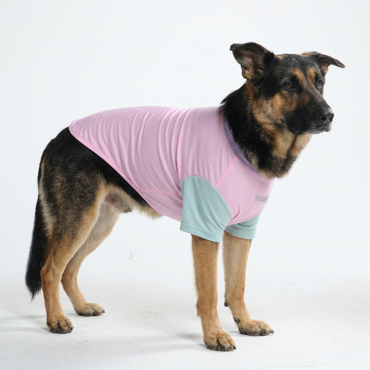 Sunblock Dog T-Shirt - Gelato - Image 3