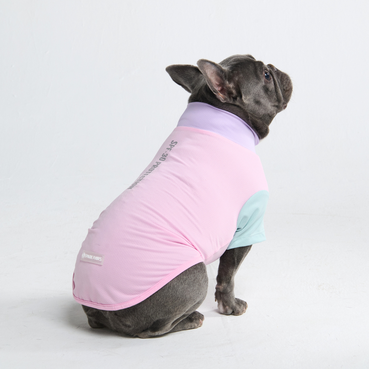 Sunblock Dog T-Shirt - Gelato - Image 4