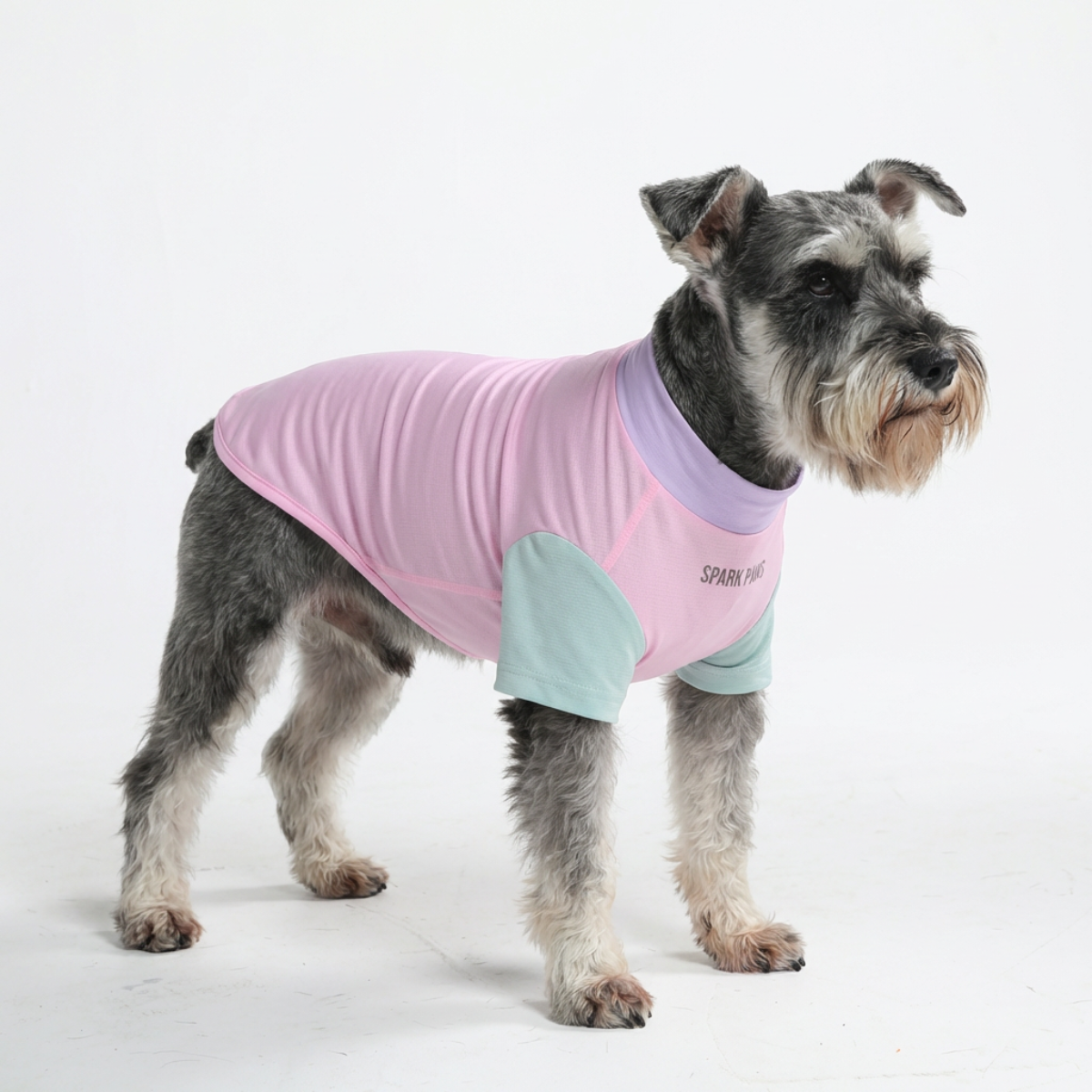 Sunblock Dog T-Shirt - Gelato - Image 2