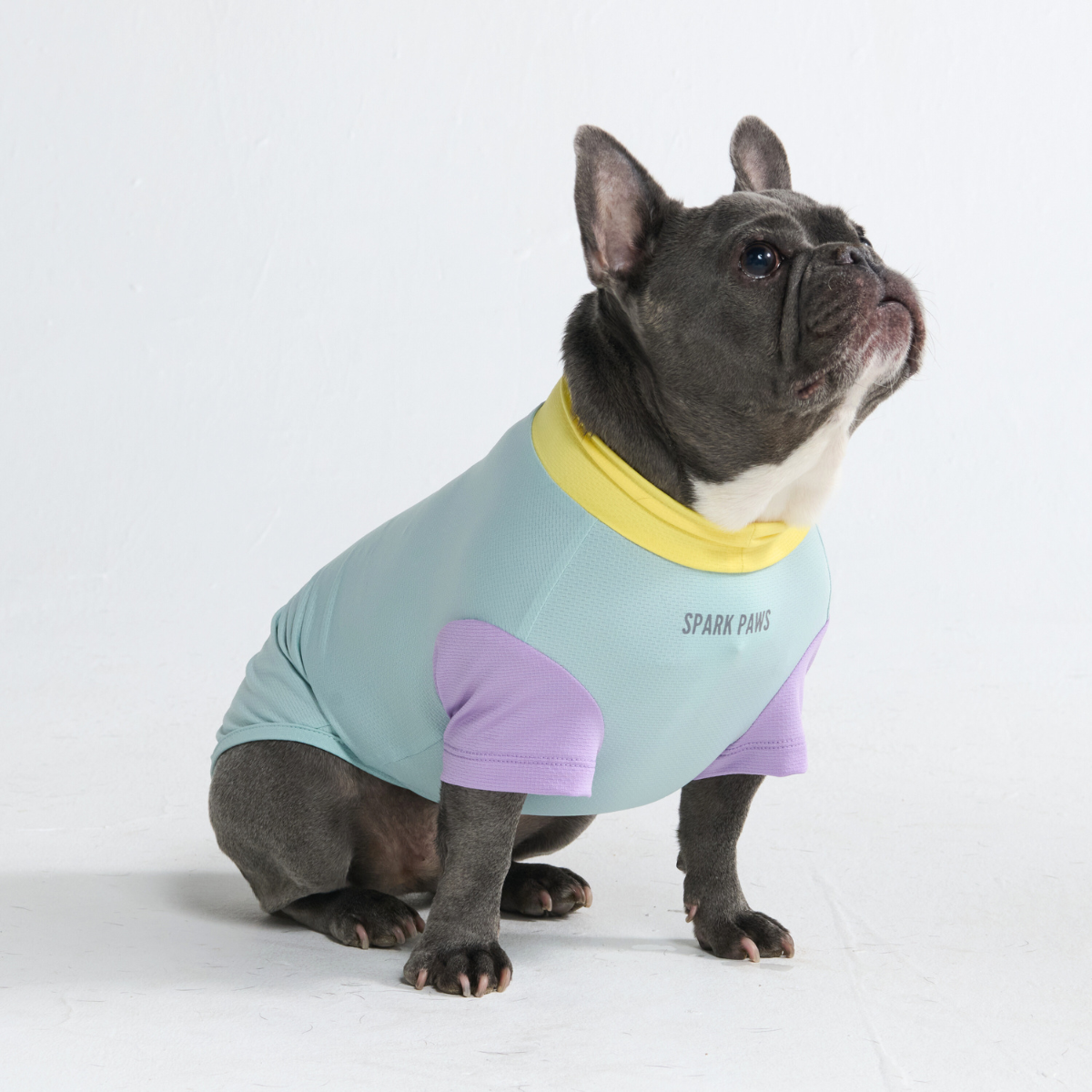 Sunblock Dog T-Shirt - Breeze - Image 6
