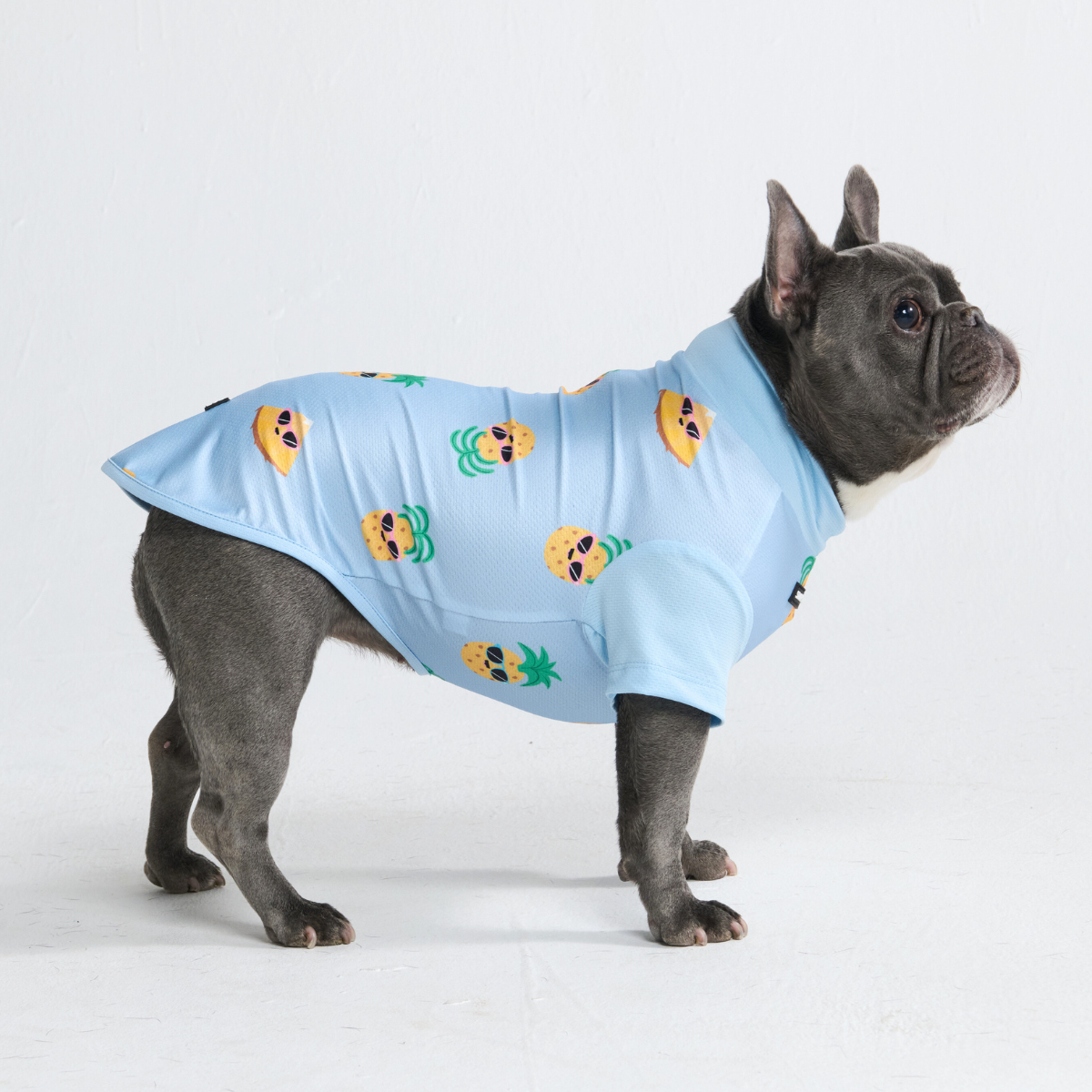 Sunblock Dog T-Shirt - Pineapple - Image 5
