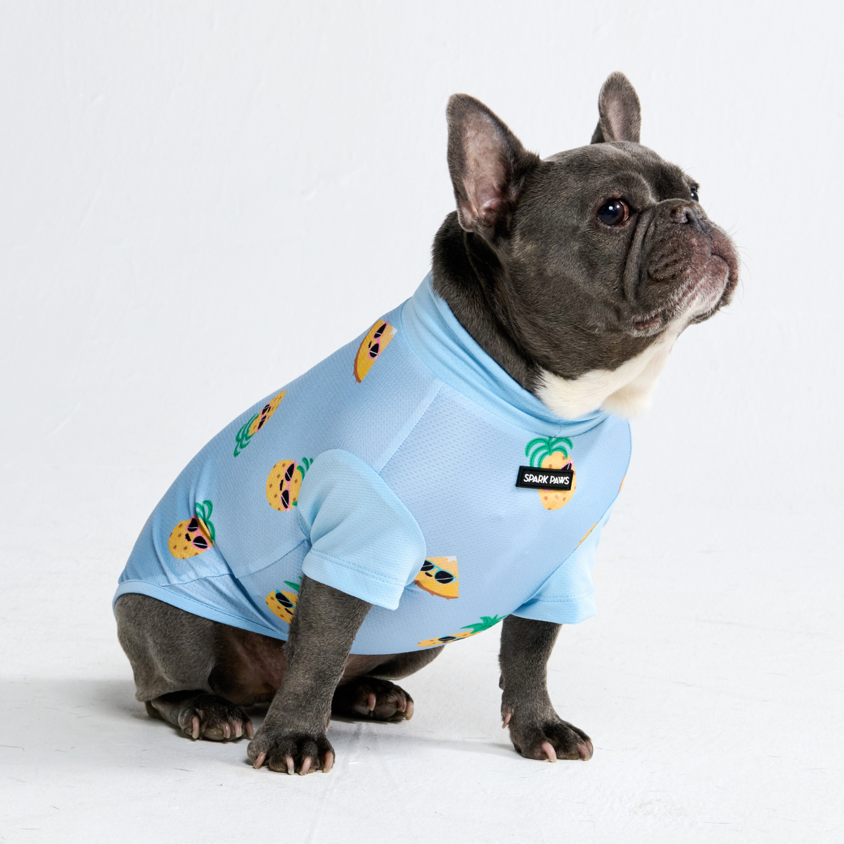 Sunblock Dog T-Shirt - Pineapple - Image 6