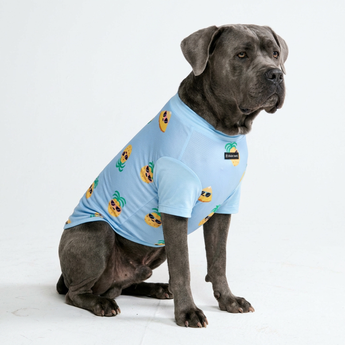 Sunblock Dog T-Shirt - Pineapple - Image 4