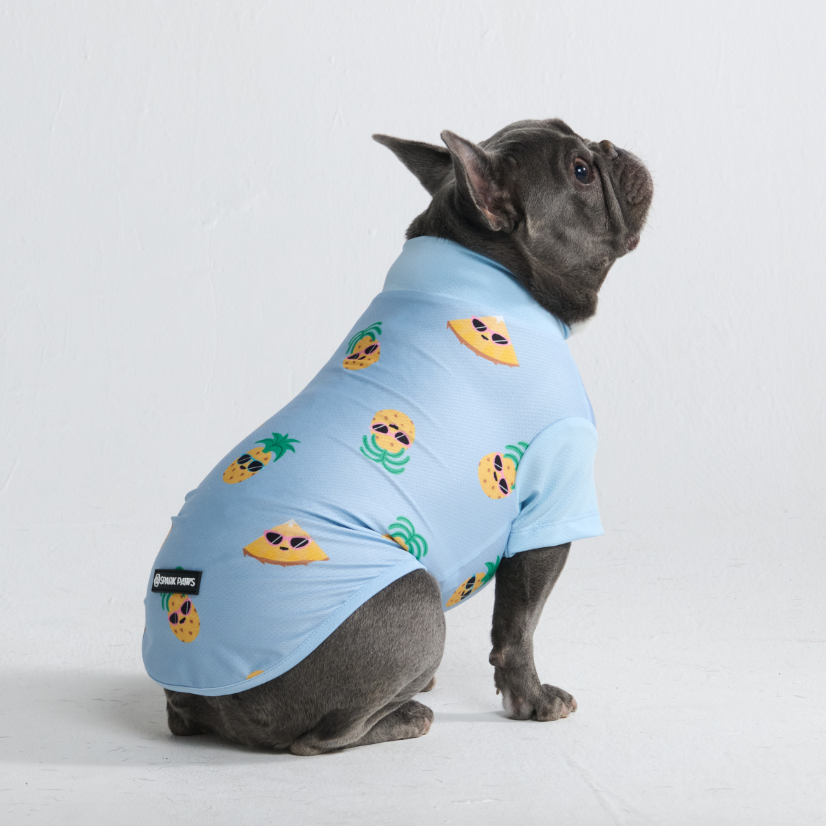 Sunblock Dog T-Shirt - Pineapple - Image 3