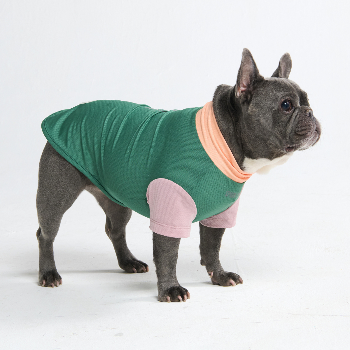 Sunblock Dog T-Shirt - Pistachio - Image 5