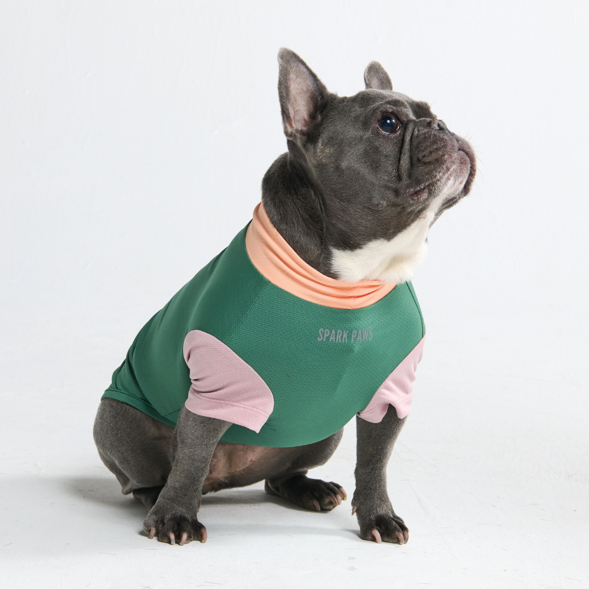 Sunblock Dog T-Shirt - Pistachio - Image 6