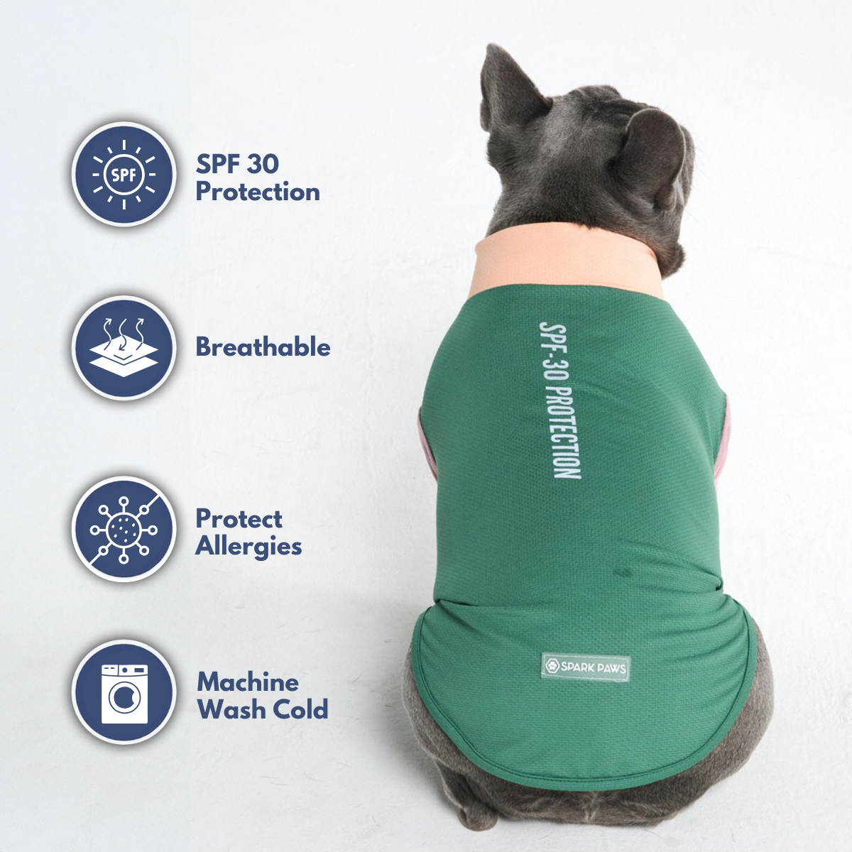 Sunblock Dog T-Shirt - Pistachio - Image 7