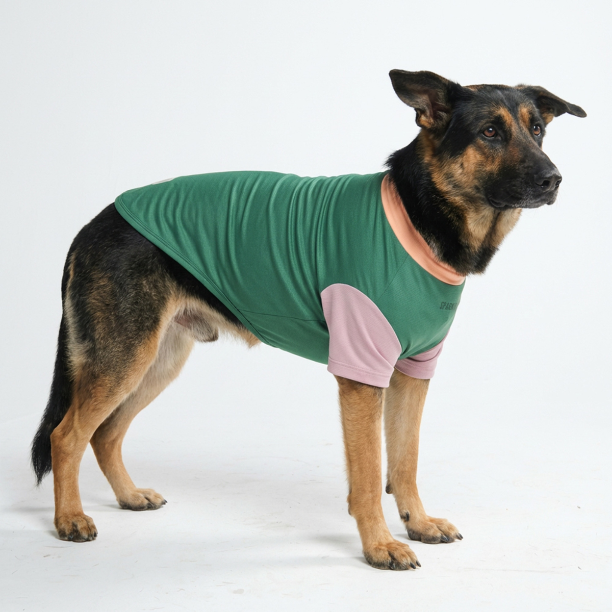Sunblock Dog T-Shirt - Pistachio - Image 4