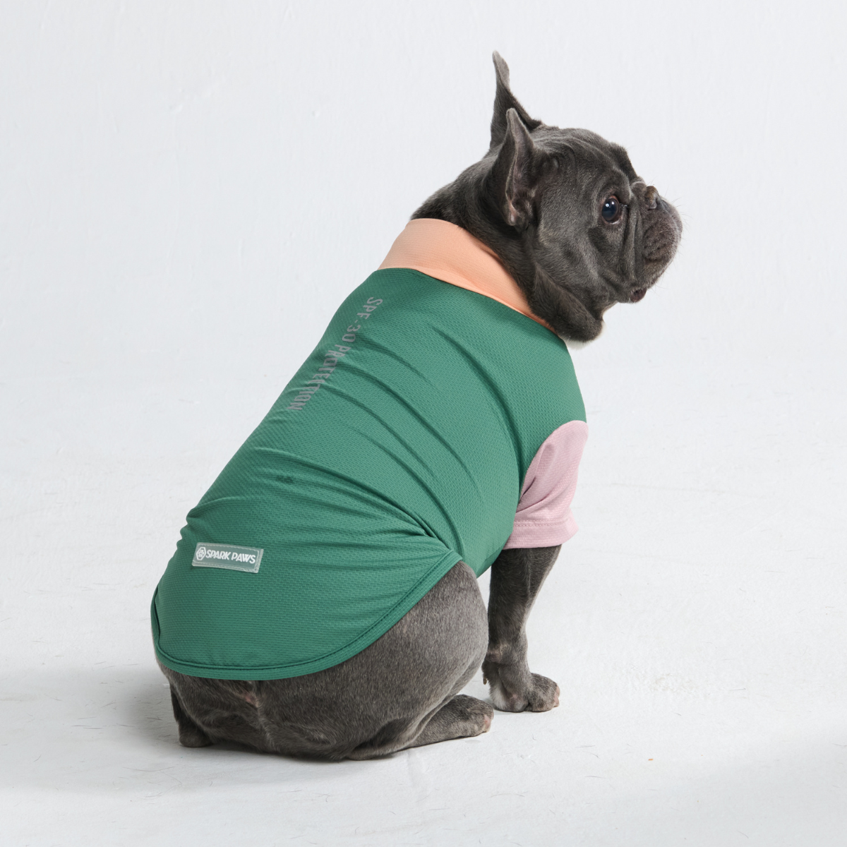 Sunblock Dog T-Shirt - Pistachio - Image 3