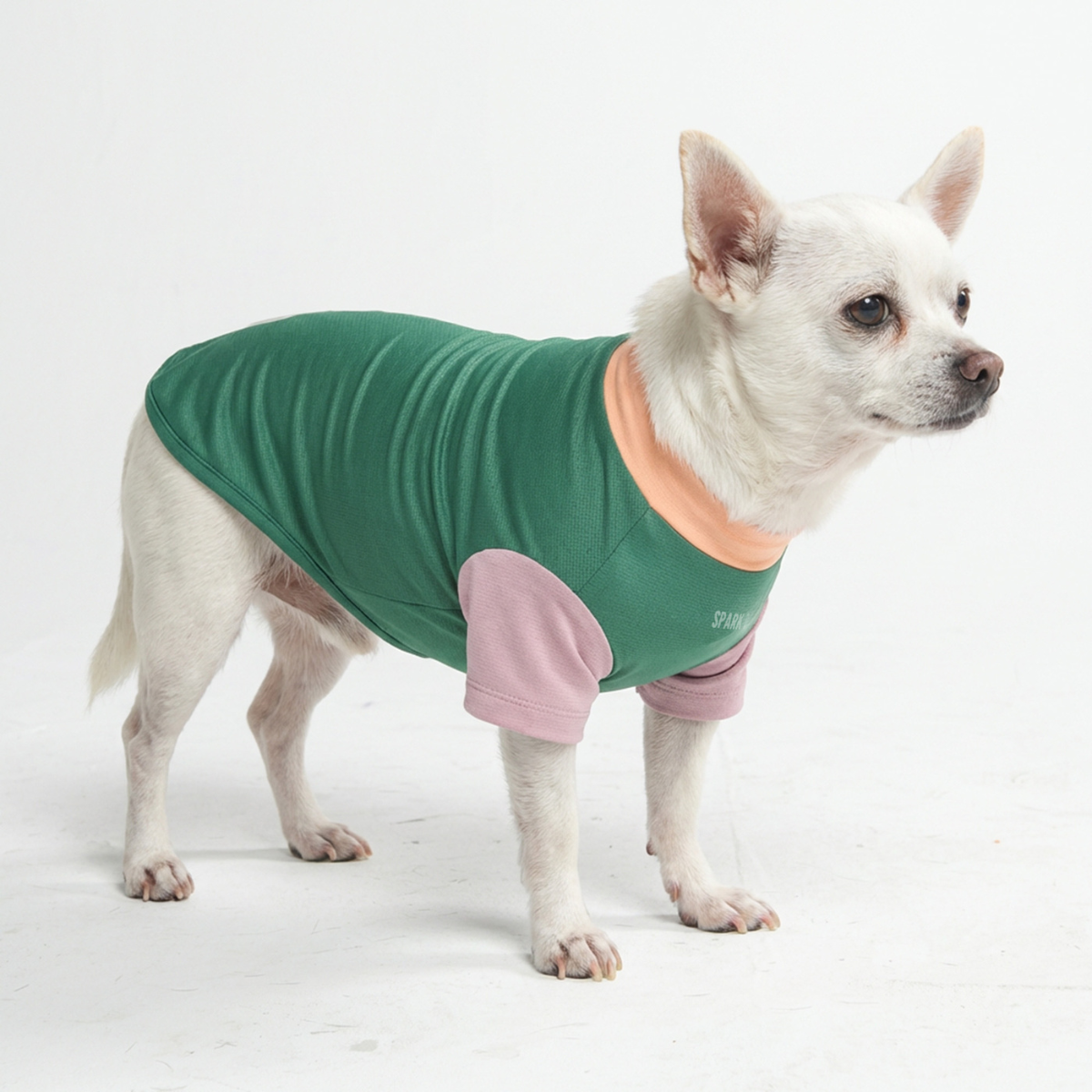 Sunblock Dog T-Shirt - Pistachio - Image 2