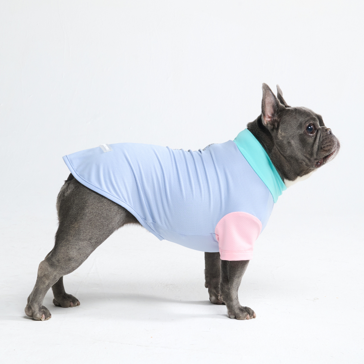 Sunblock Dog T-Shirt - Sorbet - Image 5