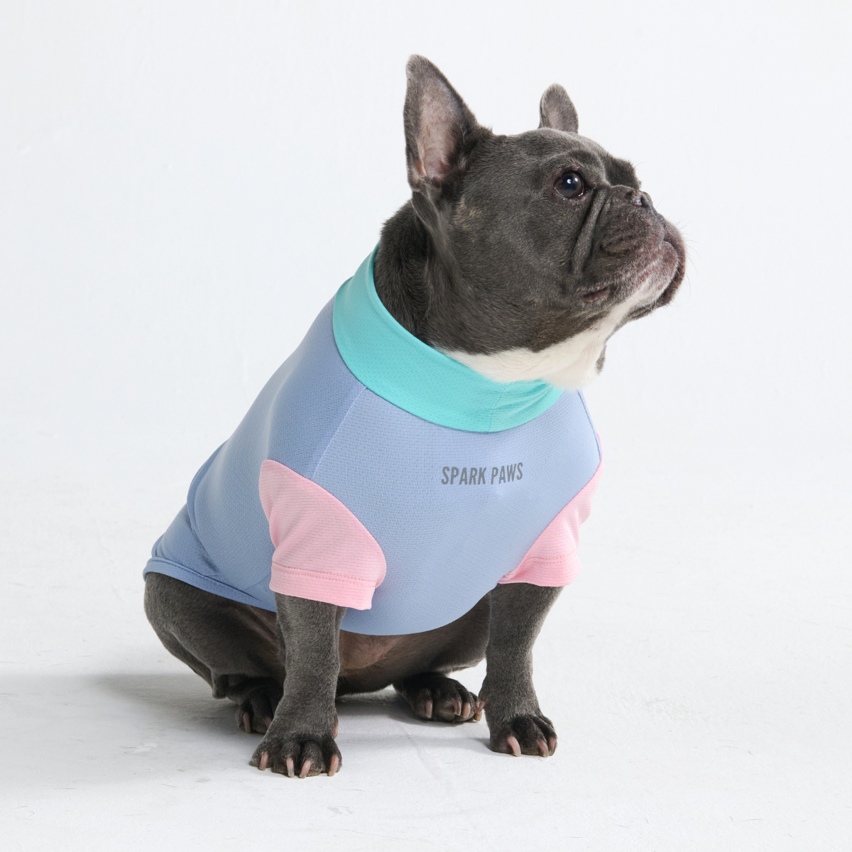 Sunblock Dog T-Shirt - Sorbet - Image 6