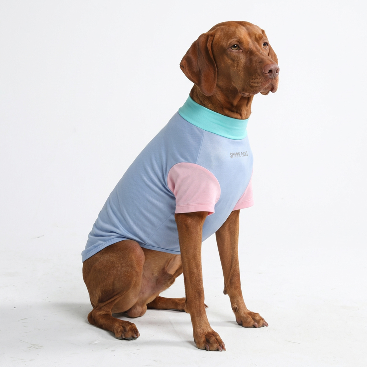 Sunblock Dog T-Shirt - Sorbet - Image 3