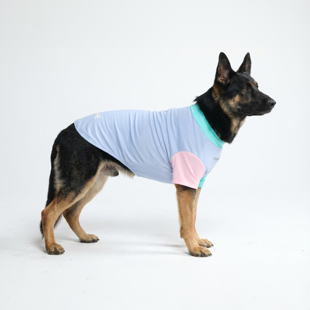 Sunblock Dog T-Shirt - Sorbet - Image 4