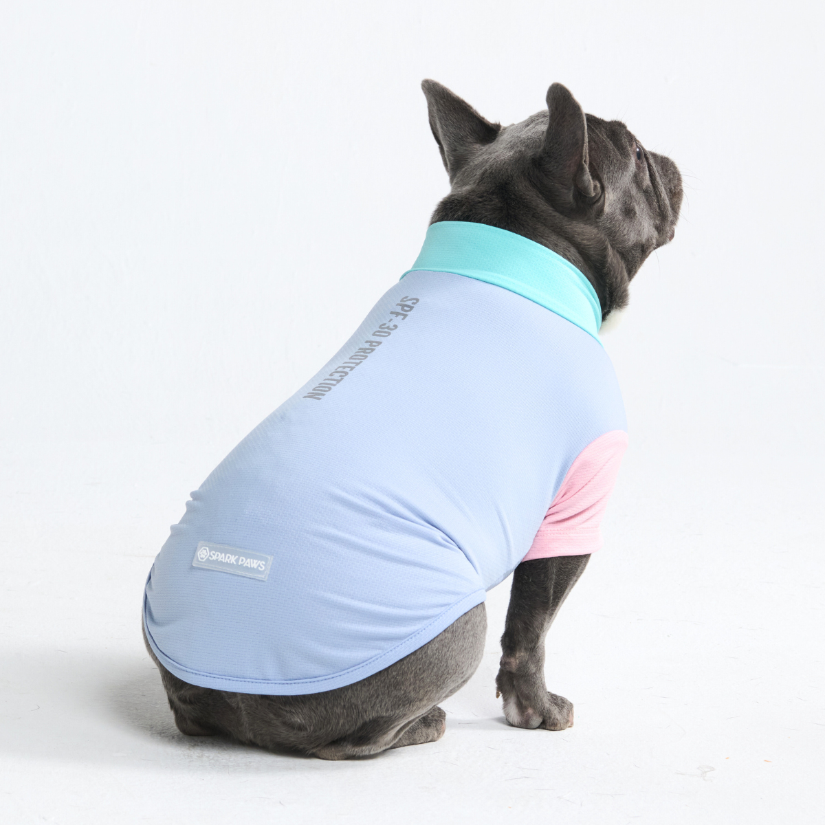 Sunblock Dog T-Shirt - Sorbet - Image 2