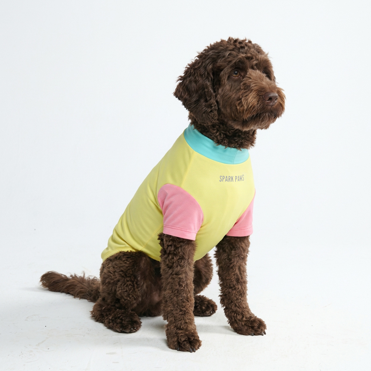 Sunblock Dog T-Shirt - Yuzu - Image 4